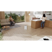 ecoair DD1 Classic MK6 - Adsorptionstrockner (Grau):mit Ionisation
