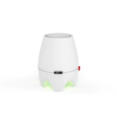 BONECO E200 Luftbefeuchter (wei�): selbstregulierender Verdunster