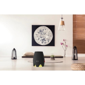 BONECO E200 Luftbefeuchter (schwarz): selbstregulierender Verdunster