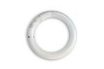 Aura BLACK INSECT-O-CUTOR Klebefolien - UV  Fliegenfalle bestellen