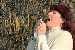 Was tun gegen Pollenallergie